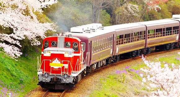 <新宿発・西船橋発> 春色のわたらせ渓谷鉄道・トロッコ列車と 桜のトンネル!赤城南面千本桜に まるで桃源郷!ピンクに染まる花桃街道の旅 ~風味抜群!やまと豚弁当の昼食付き~1